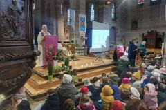 003.IMG20221209094956